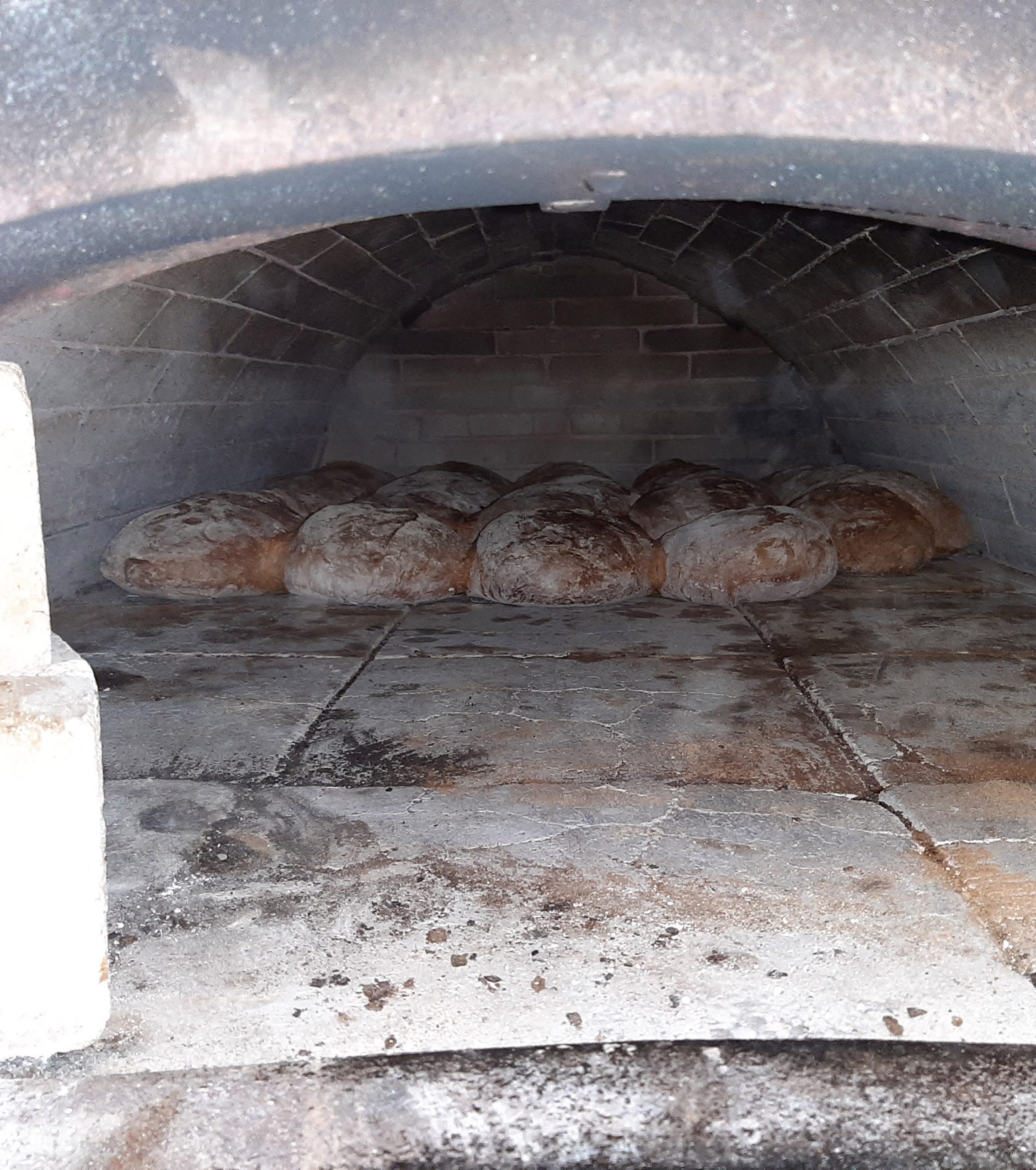Brote backen im Backofen